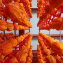 지리산곰실곶감농원 이미지