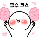 바이에바