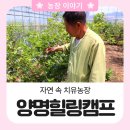 양명자연농장 이미지