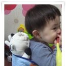 유아용포대기 이미지