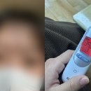 사직유치원 머니투데이