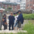 하천(안양대교) 이미지