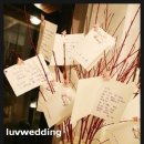 더리시안 이미지