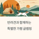 가평 애견동반 글램핑 BEST, 반려견과 자연 속 힐링여행