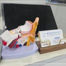 메디컬 보청기 잠실본점 이미지