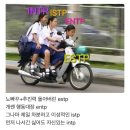 솔향기펜션 이미지