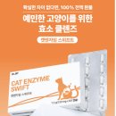 고양이 구토 고민 줄여준 닥터바이 캣엔자임 후기｜소화 효소 영양제 추천
