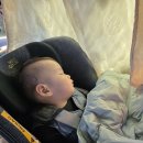 신화농장 | 돌아기 제주여행 5박6일 일정 총정리 (신화월드 숙소 동선 꿀팁)