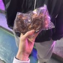 개봉제일교회 | 행복이 그거래, 좋아하는 사람들과 낭비한 시간