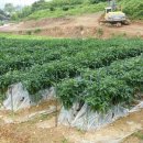 원애농장 이미지