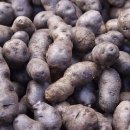 작은농원 이미지