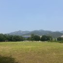 청사로 코오롱로 네이버블로그