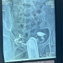 선사영상의학과의원 이미지