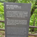 용추계곡(내)3 이미지