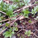 삼마농장 이미지