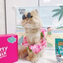 미야옷장 이미지