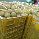 유성2농장 이미지