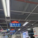 팔딱수산 이미지