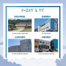 완도 신학마을 네이버블로그