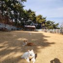 워니시티 이미지