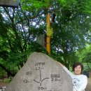 2026.5.26.선유도.한강공원.동작역.갈때.9호선.개화.선유도역.올때.9호선.중앙보훈병원.동작역. 이미지