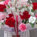 다정플라워 - 경주시 용담로 24-33 | 다정플라워