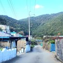 잠포학교 이미지