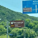 백야 | 충북 음성 백야자연휴양림 A16 캠핑 후기