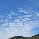 손가네 농장 이미지