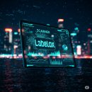 2025년, AI 데이터 라벨링 알바하고 쏠쏠하게 용돈 벌자! Labelbox 앱테크 솔직 후기 💰