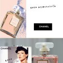 샤넬 코코 마드모아젤 EDP(오드퍼퓸) 50ml 향수 팝니다. 이미지