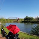 김포광장약국 이미지