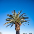 칠십리공원 칠십리파크골프장 이미지