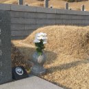 신원특수 이미지