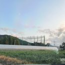 태안골프밸리 | 실외골프연습장 인도어골프연습장뜻 가격 태안골프밸리 내돈내산후기