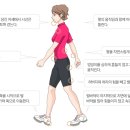 나르자워킹화 - 관악구 양녕로 25 | 나르자워킹화