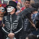 코코(coco) 이미지