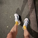 30 | 아디다스 evo sl 신고 달린 첫 30km LSD 후기(서울K마라톤, 경기마라톤 풀코스 준비, 러닝 일지)