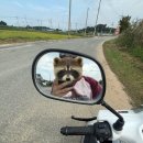 누리카센타 이미지