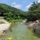 도평리도토리네 이미지