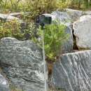 스마트폰 활용(Ⅱ) 이미지