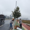 인도변 화단 이미지