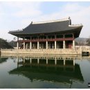 미양244