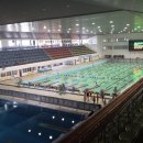 제주종합경기장 실내수영장 Daum카페