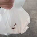 맘스터치고척 이미지