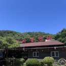 그린대리운전 | 장흥 이집이좋겠네 토요일 평상자리 마지막으로 잡고 송도까지 대리타고 온 후기