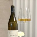 블랑루이 이미지