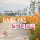 호법면체육공원 이미지