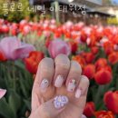 플로르네일이태원점 | 이태원동 네일샵 플로르 네일 이태원점 위치 업체정보