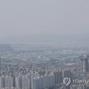 서호동-51 연합뉴스